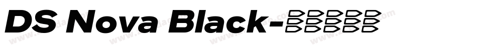 DS Nova Black字体转换